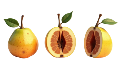 Three pears whole half and cross section studio shot isolated transparent background fruit healthy