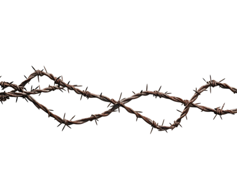 Abstract Three barbed wire isolated element