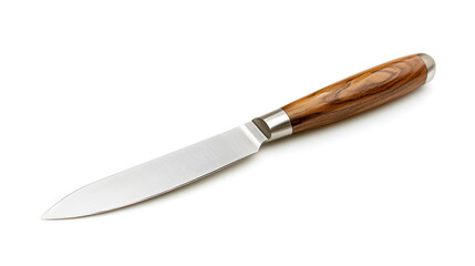 Stainless Steel Kitchen Knife with Wooden Handle Design