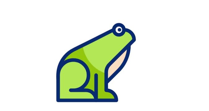 frog on white background