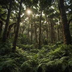 Fototapeta premium forest in the morning