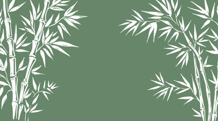 Frame with Bamboo tree on green, Hand drawn style. 
