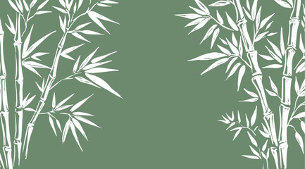 Fototapeta premium Frame with Bamboo tree on green, Hand drawn illustrations. 