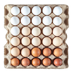 Fresh chicken eggs arranged in order from lightest to darkest in a cardboard tray isolated   on a white background.