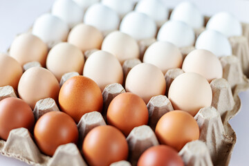 Fresh chicken eggs arranged in order from lightest to darkest in a cardboard tray on a white background.