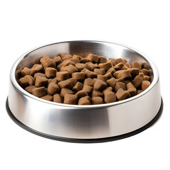 Brown kibble dog food in stainless steel pet bowl
