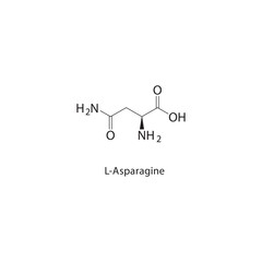 L-Asparagine skeletal structure.Amino Acid compound schematic illustration. Simple diagram, chemical formula.