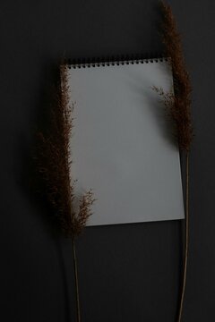A White Blank Paper on environmental background