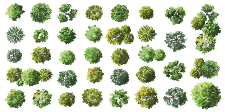 Vertor set of green tree,plants top view for landscape plan,schematic layout,eco environment concept design,watercolor greenery illustration