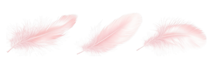 Three soft pink feathers. Isolated on transparent background. Generative AI
