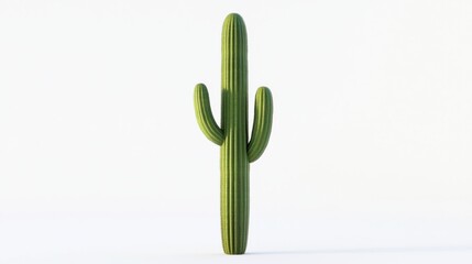 Tall Cactus with Two Arms Against a Simple White Backdrop