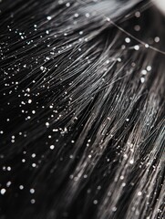 Close up view of dandruff flakes on dark hair strands showcasing scalp condition and hair health concerns. Generative AI