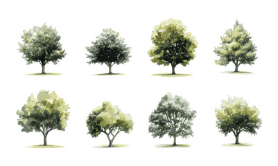 Fototapeta premium Botanical Vector Elements collection of watercolor style vectors featuring blooming trees, and forests, ideal for environmental and garden designs