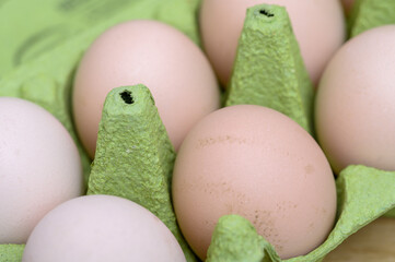 Kurze jaja w zielonej składance, jaja z wolnego wybiegu  © Paweł Kacperek