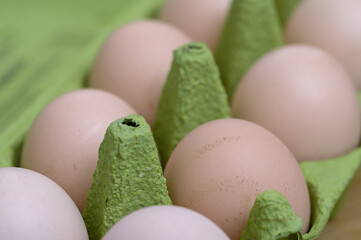 Kurze jaja zerówki, świeże smaczne zdrowe jaja od kur z ekologicznej farmy  © Paweł Kacperek