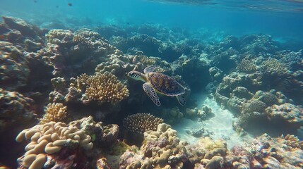 Naklejka premium Sea Turtle Gracefully Swimming Through Vibrant Coral Reef