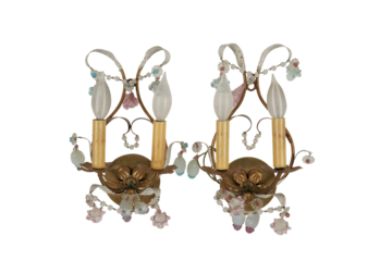 dog and cat on transparent and white background