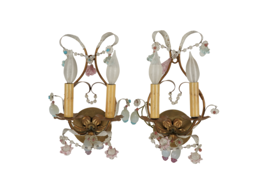 dog and cat on transparent and white background