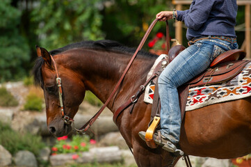 Cowgirl riding a quarter horse at a western competition