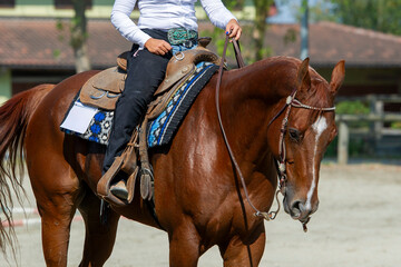 Obraz premium Cowgirl riding a quarter horse at a western competition