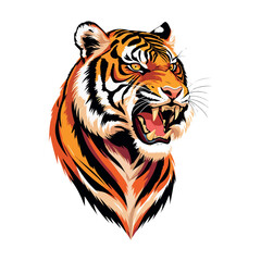 tiger colourful face vector illustration.