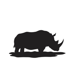 rhino on white background
