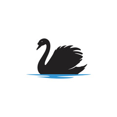 black swan vector illustration