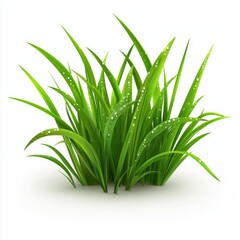 Fototapeta premium Fresh green grass with morning dew isolated on white