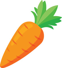 carrot vector, vector and illustration, vector style