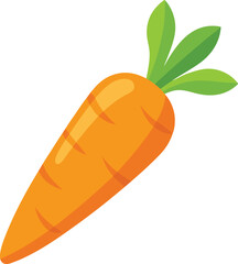 carrot vector, vector and illustration, vector style