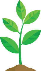 young plant vector, vector and illustration, vector style
