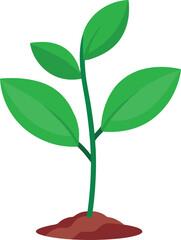 young plant vector, vector and illustration, vector style