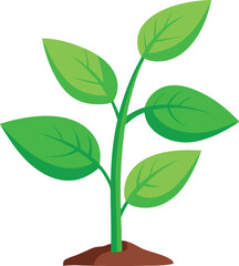 young plant vector, vector and illustration, vector style