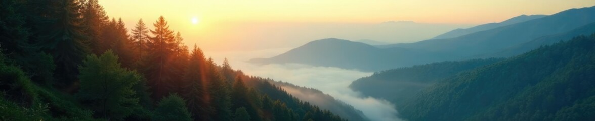 Naklejka premium Sunlight filters through the trees as it shines on a misty mountain morning atmosphere, mountains, forest, natural