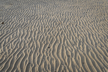 Sand waves