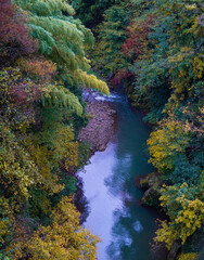 A serene autumn sunset over a small river, forest, and hills in rural Japan, with the warm hues of fall reflecting on the water, creating a peaceful landscape.