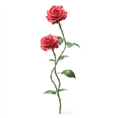 Fototapeta premium Pair of Red Roses on a Single Stem with Lush Green Leaves – A Symbol of Love and Unity