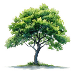 Obraz premium A large tree with green leaves is the main focus of the image