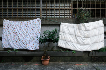 laundry drying in the sun