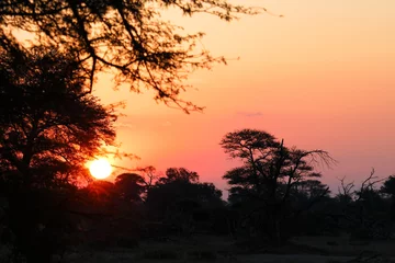 Fototapete Sonnenuntergang - Krüger Park - Südafrika / Sundown - Kruger Park - South Africa / © Ludwig