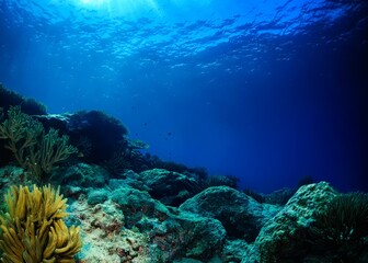 Fototapeta premium A realistic illustration of underwater rocks and coral reefs with light shining from the water surface.