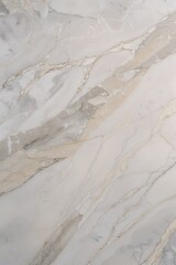 close-up view of a marble surface. The style is natural and organic, showcasing a smooth texture with subtle variations in color. The layout is a full-frame shot, capturing the intricate patterns and 