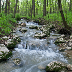 Fototapeta premium Forest stream flowing over mossy rocks
