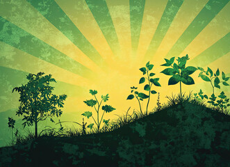 Obraz premium Silhouette of Plants and Trees at Sunrise with a Grunge Texture Background