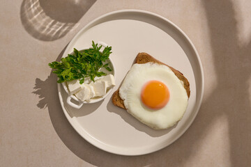 Delicious breakfast ready to be enjoyed. Fried egg placed on whole wheat toast. Modern breakfast set up with beautiful morning light and window shadows. 