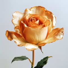 Metallic Gold Rose - A Luxurious Blend of Nature and Elegance