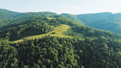 Panoramic view of mountainous forest region on sunny day