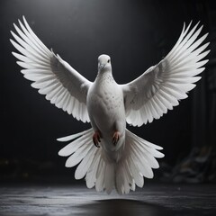 Obraz premium Elegant dove with open wings in a serene black environment, motion, isolated, simplicity, flying, ethereal