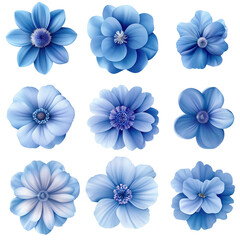 A set of blue flowers with a white background