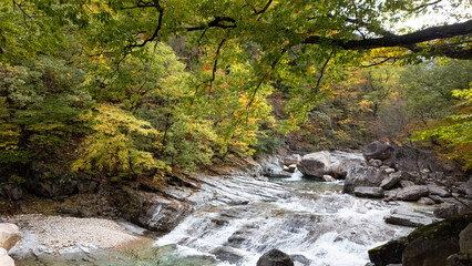 Obraz premium 가을 단풍으로 아름다운 설악산 천불동계곡